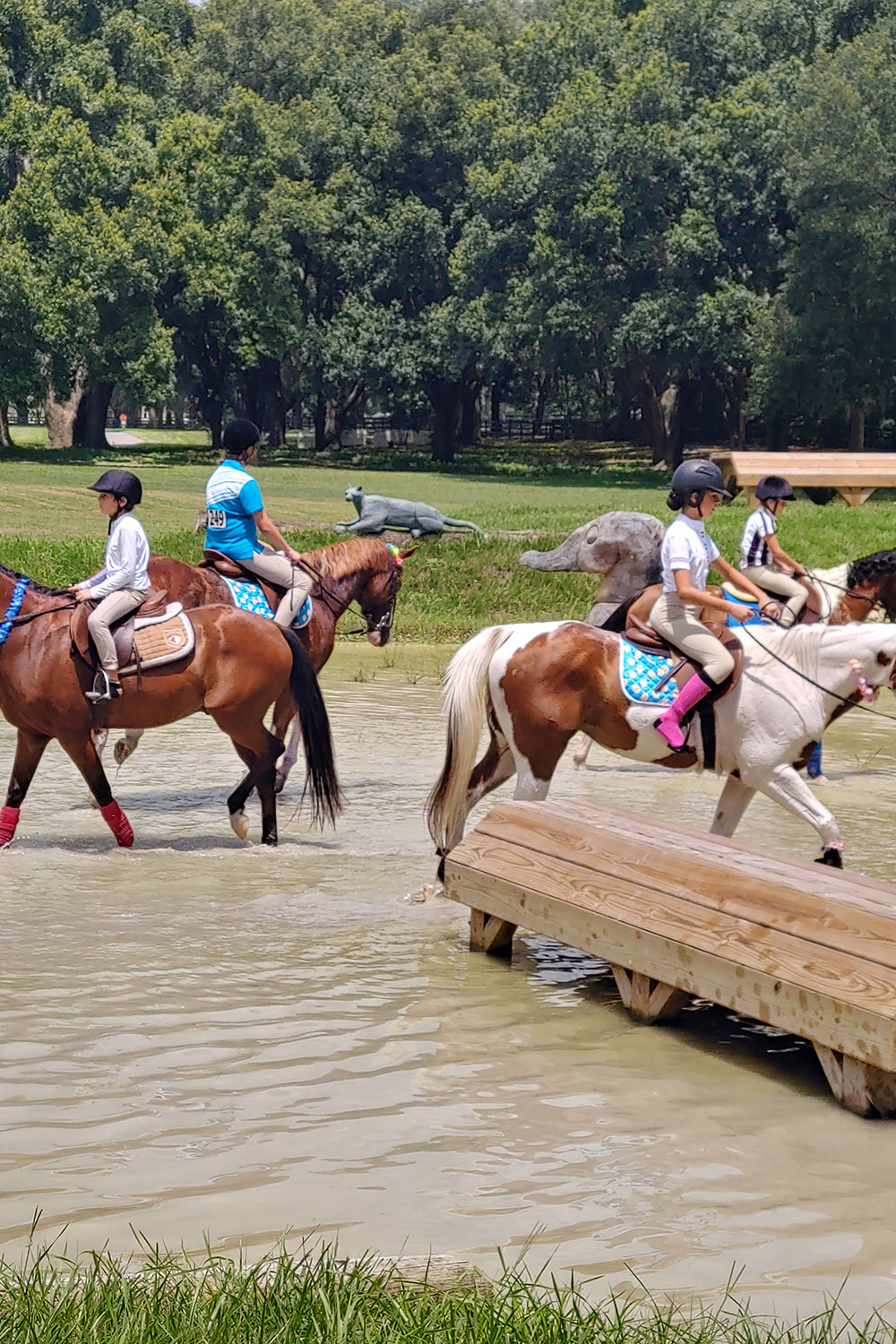 horse-riding-lessons-orlando-fl-5